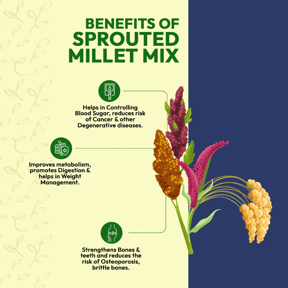 Naturalist Sprouted Millet Mix - 1Kg Pack of 2 (500 Grams Each)